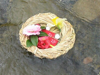 ☆上巳の節句by職場の教養(#^.^#) イメージ