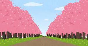 桜の魅力by職場の教養(#^.^#) イメージ