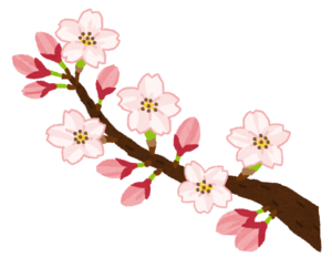 桜を想うby職場の教養(#^.^#) イメージ